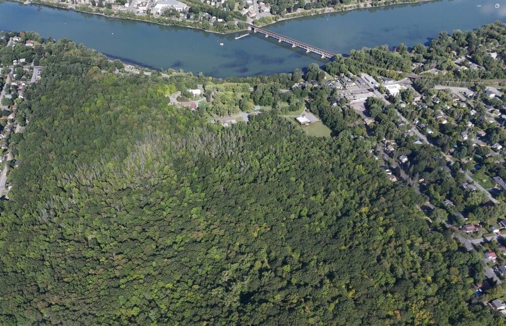 Perpetual Preservation of the Bosquets Albert-Hudon Woodland